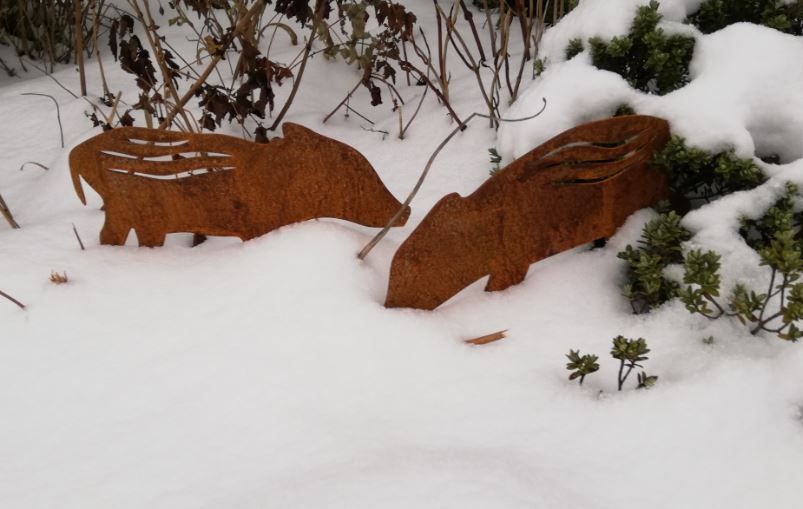 Frischlinge im Schnee